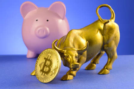 A concept based on the Bitcoin market trends using a pig bank and bull figure.の写真素材