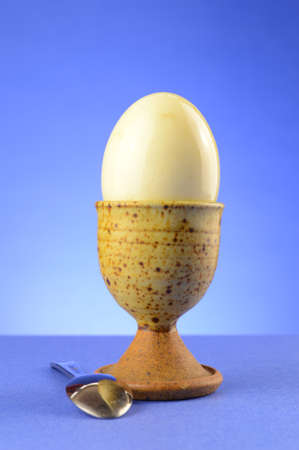A hard boiled egg is ready to be eaten for a breakfast menu item.の写真素材