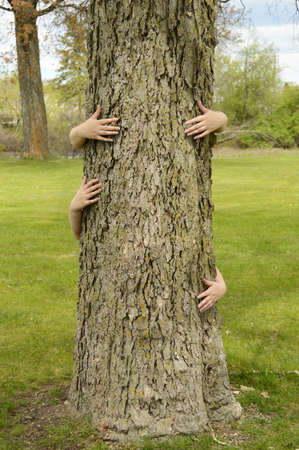 A conceptual image of several peoples arms hugging a large tree for several environmentalists ideas to illustrate.の写真素材