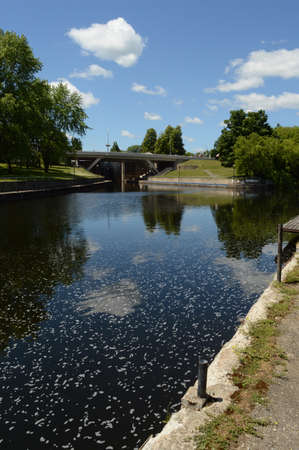SMITHS FALLS, ONTARIO, CA, JUNE 16, 2021: A view of the Beckwith St Bridge crossing the Rideau Canal in sensational Smiths Falls, Ontario.のeditorial素材