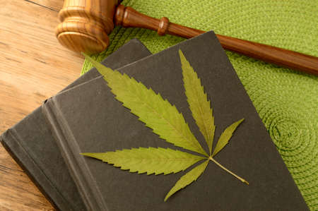 A conceptual image focused on the legal information of Marijuana using books and a gavel and weed...