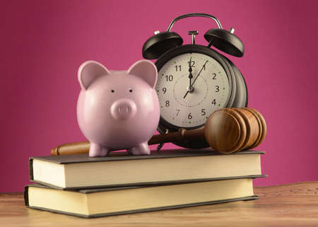 A concept of legal expenses due with a piggy bank and gavel over a pile of books.の写真素材