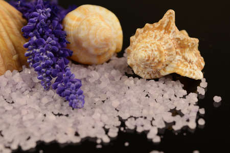A scene of fresh bath salts with some sea shells.の写真素材