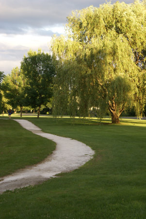 A walk to enjoy through the clean green park space.の写真素材