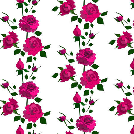 Rose pattern including seamless sample in swatch panelのイラスト素材
