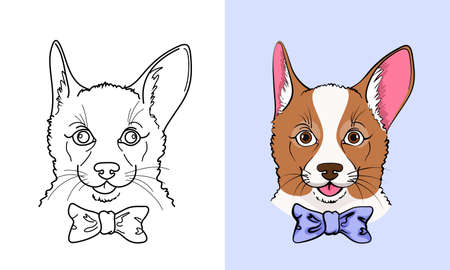 Sketch and color icon of little corgi dog with a bowのイラスト素材