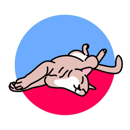 Vector illustration in cartoon style of red cat sleeping