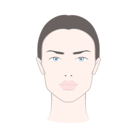 Face chart of female makeup on white skinのイラスト素材