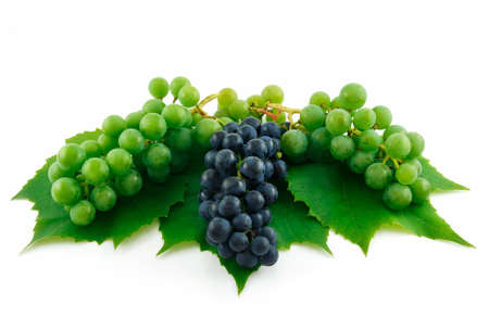 Bunches of Ripe Green and Blue Grapes with Leaf Isolated on White Backgroundの写真素材