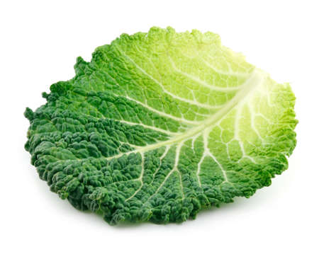Leaf of Ripe Savoy Cabbage Isolated on White Backgroundの写真素材