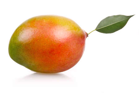 Ripe mango fruit isolated on white backgroundの写真素材