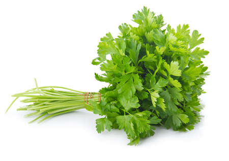 Bunch of ripe parsley isolated on white background の写真素材