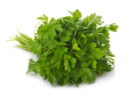 Bunch of ripe parsley isolated on white background の写真素材