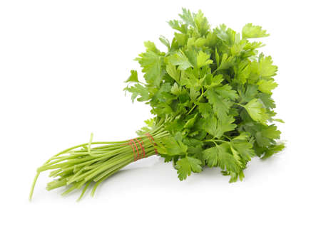 Bunch of ripe parsley isolated on white background の写真素材