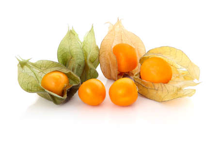 Cape gooseberry (physalis) isolated on white backgroundの写真素材