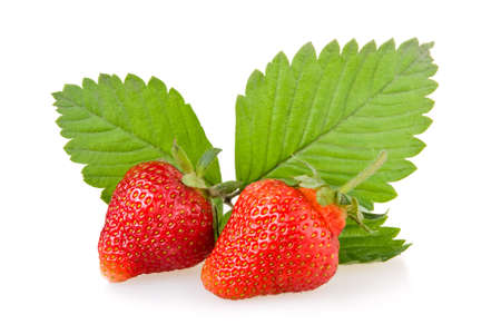 Red strawberry fruits with green leaves isolated on white background の写真素材
