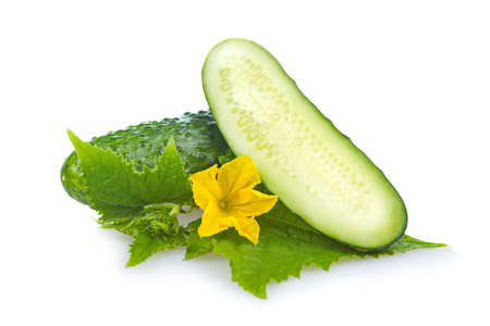 Green cucumber vegetable with leafs and flowers isolatedの写真素材