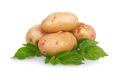 Heap of ripe potatoes vegetable with green leafs isolated on white backgroundの写真素材