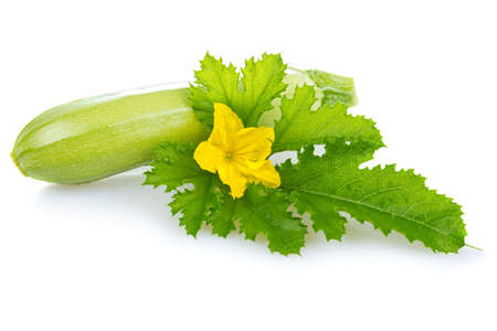 ripe marrow vegetable with leaf isolated on a white backgroundの写真素材
