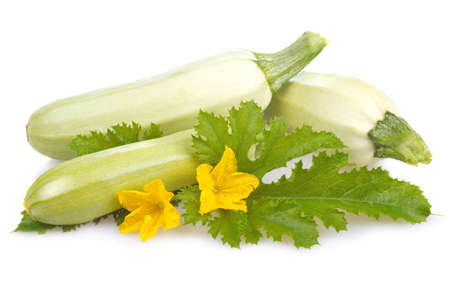 ripe marrow vegetable with leaf isolated on a white backgroundの写真素材