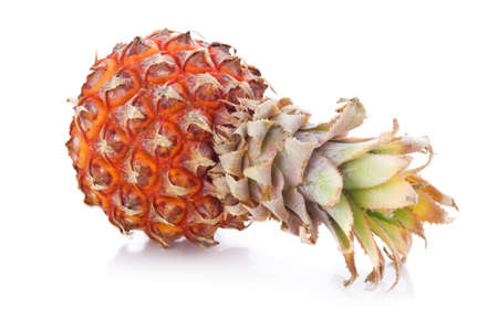 Ripe pineapple fruit with green leaves isolated on white backgroundの写真素材