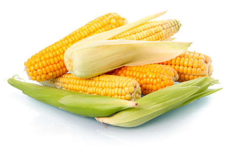 Fresh corn vegetable with green leaves isolated on white backgroundの写真素材