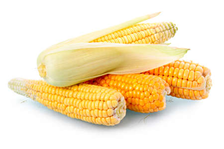 Fresh corn vegetable with green leaves isolated on white backgroundの写真素材