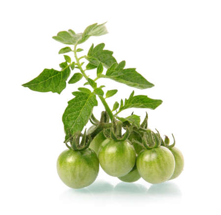 Heap of ripe tomatoes vegetable with green leafs isolated on white backgroundの写真素材