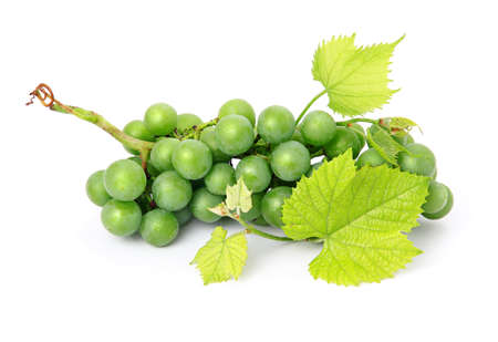 Fresh grape fruits with green leaves isolated on white background の写真素材