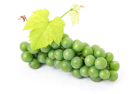 Fresh grape fruits with green leaves isolated on white background の写真素材