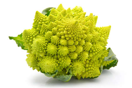 Romanesco broccoli cabbage (or Roman Cauliflower) isolated on white backgroundの写真素材