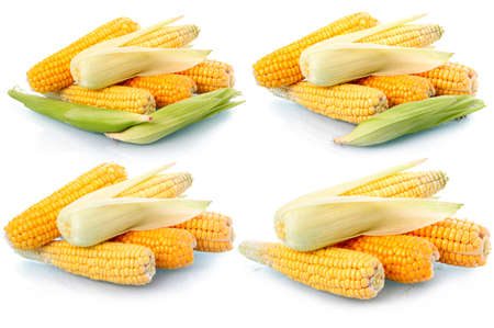 Set of fresh corn vegetables with green leaves isolated on white backgroundの写真素材