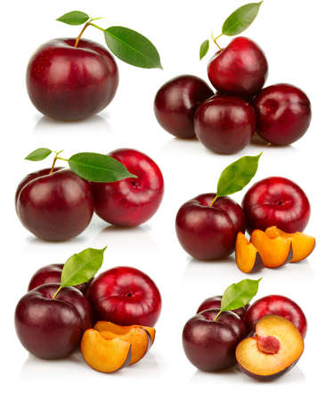 Set of ripe red plums fruit isolated on white backgroundの写真素材