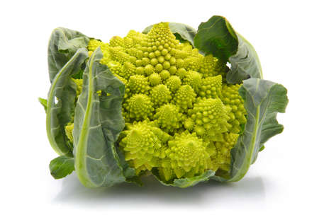 Romanesco broccoli cabbage (or Roman Cauliflower) isolated on white background の写真素材