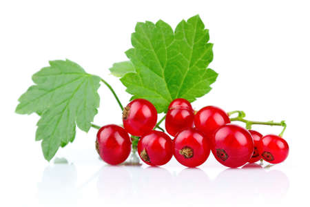 Bunch of red currants with green leaves isolated on whiteの写真素材