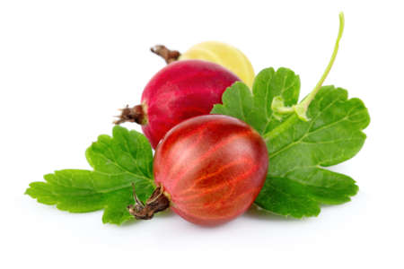 Two red gooseberries with green leaves isolated on white の写真素材