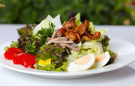 Delicious salad with greens and mushrooms (closeup, selective focus)の写真素材