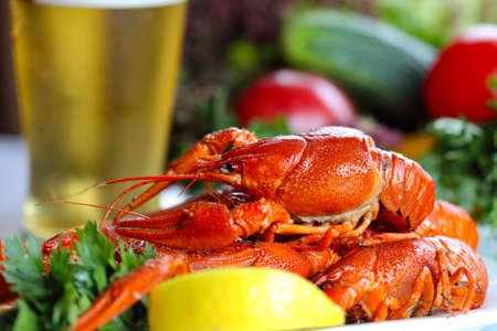 Heap of boiled crafish, glass of beer and garnish (colseup, selective focus)の写真素材