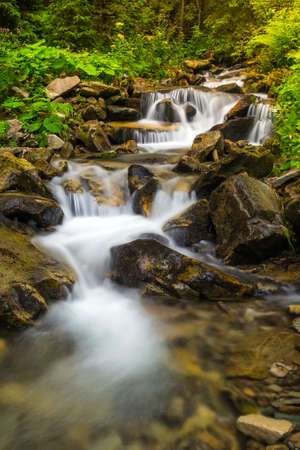 Forest creek with waterfalls. Water cascades over rocks in Ukrainian Carpathians.の写真素材