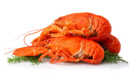 Boiled crayfish with dill isolated on white backgroundの写真素材