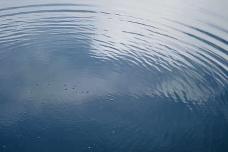 circular waves on the water