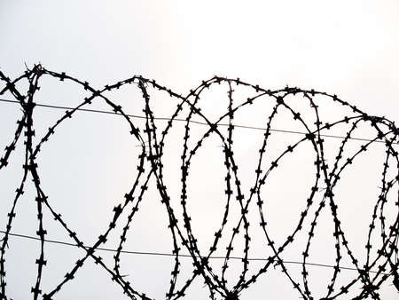 barbed wire razor fence on a white backgroundの写真素材