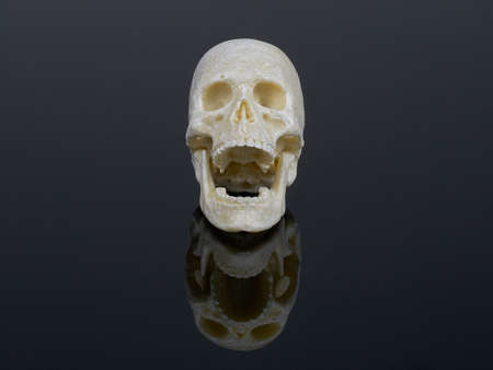 Human skull isolated on black