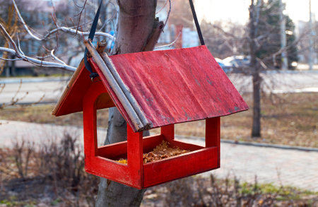 Homemade red bird feeder on the tree, help small city birds survive the winter seasonの写真素材