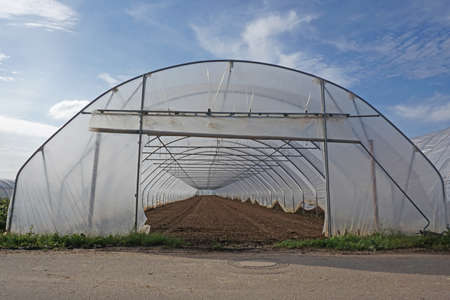 greenhouseの写真素材