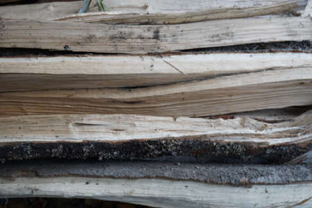 firewood