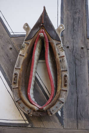 in front of horse harnessの写真素材