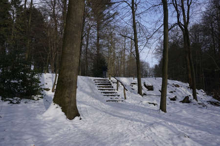 winter wonderlandの写真素材