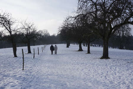 wintery landscaoeの写真素材