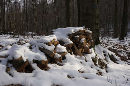 firewoodの写真素材